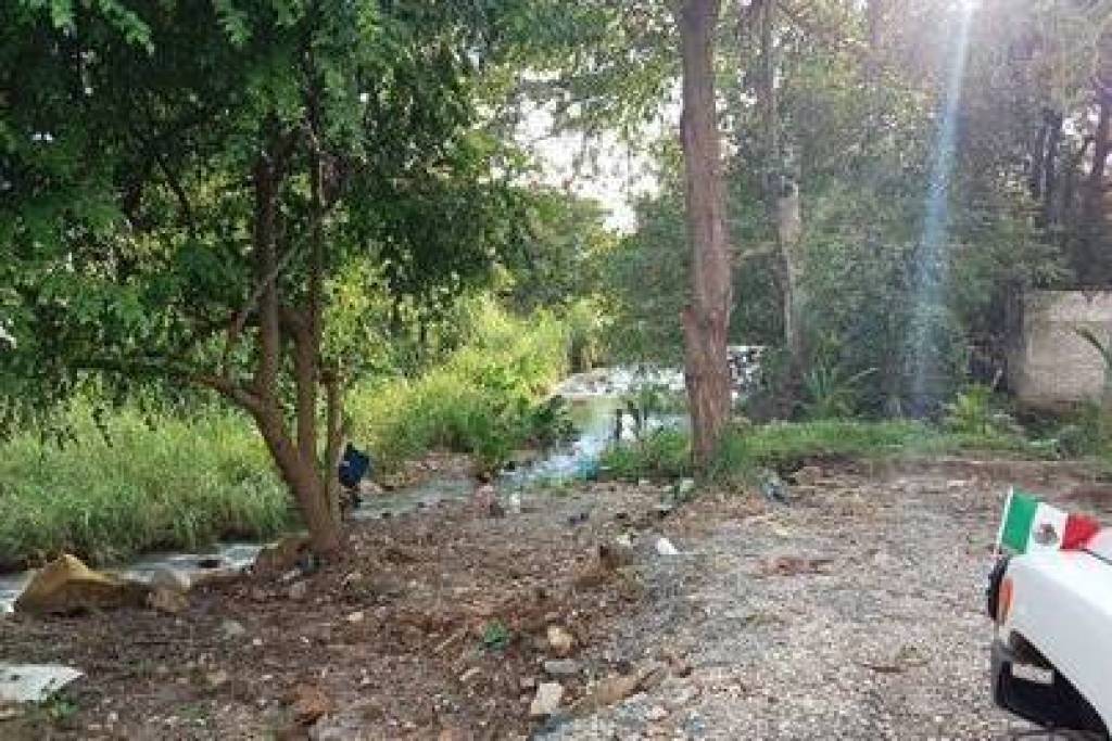 Land-Plot for sale in Bay-of-Matanchen Mexico