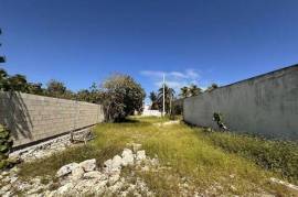 LAND ON THE YUCATAN COAST, CHELEM