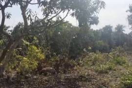 Land-Plot for sale in Bay-of-Matanchen Mexico