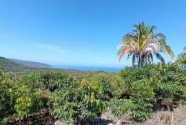 Land-Plot for sale in Bay-of-Matanchen Mexico