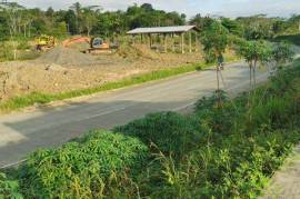 Excellent Plot of land for sale in Hawilian Agusan del Sur