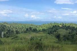 Excellent Estate of land plots & Farm for sale in the