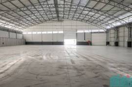 Warehouse Rent Oliveira do Bairro