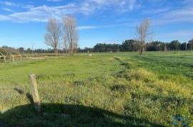 Terreno em Beduído e Veiros de 1720,00 m²