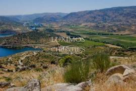 Venda: propriedade agrícola na região do Douro Superior, Torre de Moncorvo
