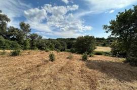 Land with 11000m2 and possible 200m2 of construction area