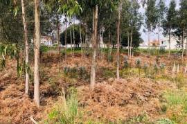 Buy Plot land with approved project for housing, Anta- Espinho Portugal.