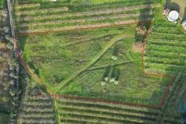 Terreno para construção em Sangalhos