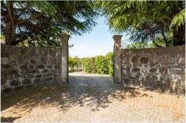 Small farm for sale in Maia