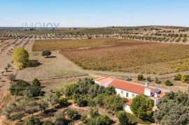 Vineyard Farm with Great Location in Avis
