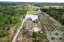 Industrial Warehouse in Chamusca, Santarém