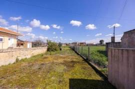 Land Sale Murtosa