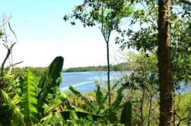 Cocoa paradise in Bahia for sale