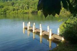 Cocoa paradise in Bahia for sale