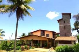 Cocoa paradise in Bahia for sale