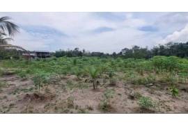 Amazonas fruit farm for sale - LAk-BR-003