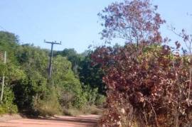 Barra do Itariri Land farm for sale - 12030