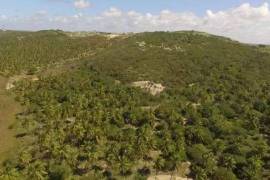 Barra do Itariri Land farm for sale - 12030
