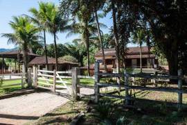 Thriving dairy farm in dream location in Brazil BR101