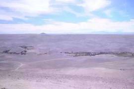 An oasis in the Atacama Desert - bravo-001