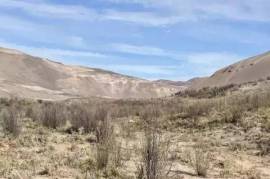 An oasis in the Atacama Desert - bravo-001