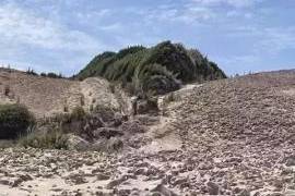 An oasis in the Atacama Desert - bravo-001