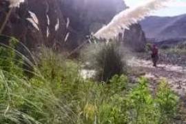 An oasis in the Atacama Desert - bravo-001