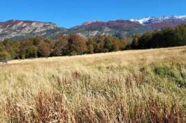 Large plot of land in the Aysén region, Patagonia