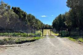 GrundstÃ¼ck zu verkaufen auf der Insel Caucahue
