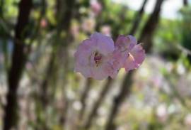Demeure De Caractere
