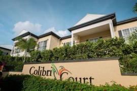 Colibri
