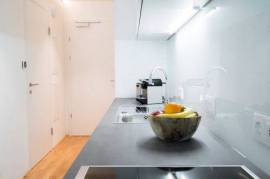 Modern business apartment with bathtub, shower, air conditioning and garden