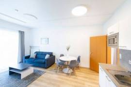 Newly renovated, spacious apartment with balcony