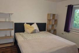 Wonderful, neat suite with nice neighbours