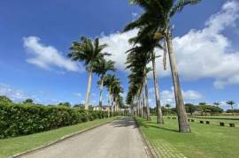 Apes Hill Polo Estate - Lot 33