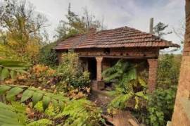 Old rural property with house, annex and land located in a big village near river 65 km north of Vratsa, Bulgaria