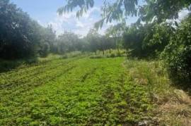 Solid property for sale in Dobrich region, Kremena village