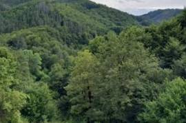 Two-Storey Stone house 120m2, 8 rooms, outbuilding, in the heart of Rodopi mountains, Smolyan district, with 1000m² Plot