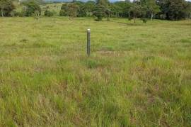 Villa Sonia Cattle Farm For Sale In Rio Negro