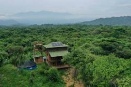 Estate For Sale in Palomino