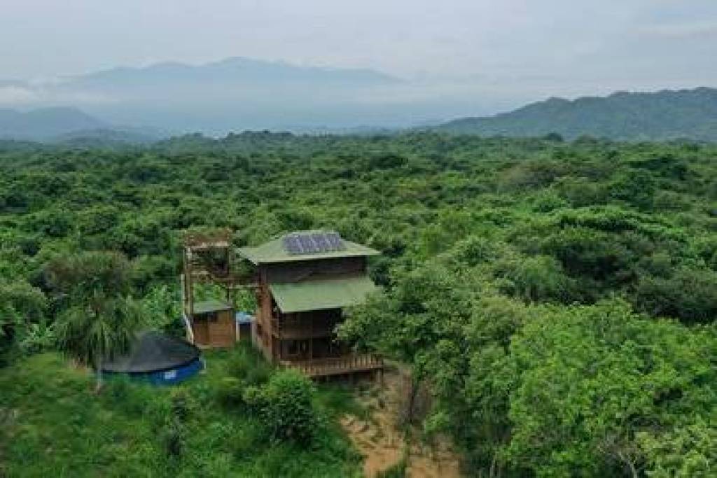 Estate For Sale in Palomino