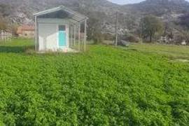 Plot for Sale in Grahovo