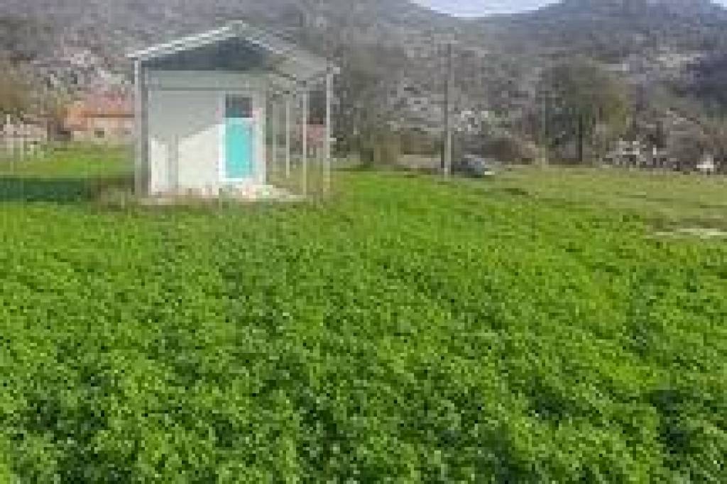 Plot for Sale in Grahovo