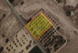 Residential Land for sale in Mazotos Village, Larnaca