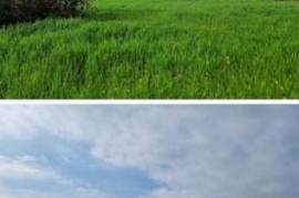Excellent Plot of land for sale in Agios Theodoros Larnaca Cyprus