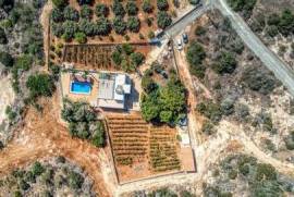 Four Bedroom Villa with Private Vineyard for sale in Protaras area, Famagusta