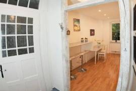 Renovated art nouveau flat