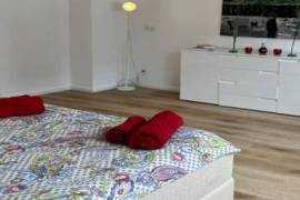 Quiet and charming house with pool and beautiful oasis terrace