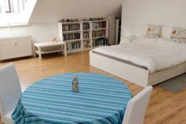 Bright 41 m² loft in green Berlin