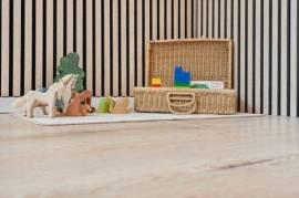 Perfect flat in Kassel